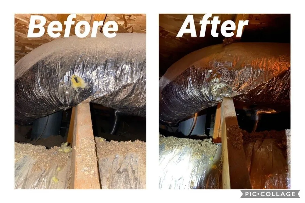 Top-rated garden landscaping with custom design in Beaumont, CA by Reese The Handy Connection