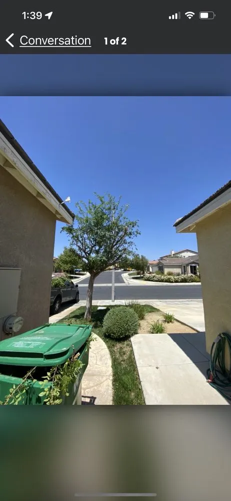 Affordable yard cleanup service in Beaumont, CA by Reese The Handy Connection