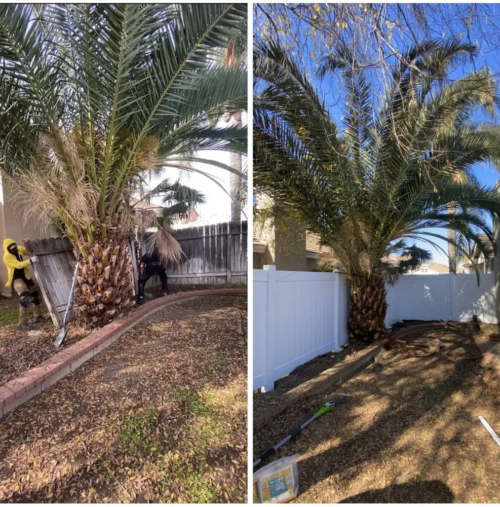 Reliable landscaping services for outdoor upgrades across Beaumont, CA - Reese The Handy Connection