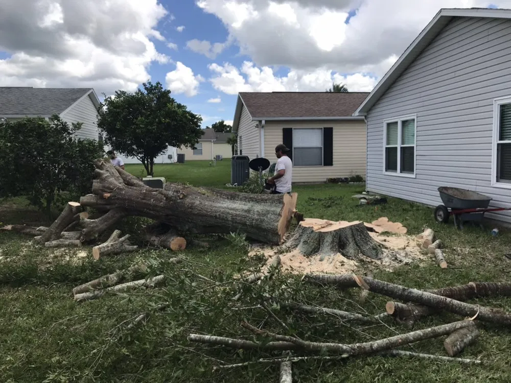 Trusted garden landscaping for residential properties across Wildwood, FL - Reese's Landscaping and Tree Service