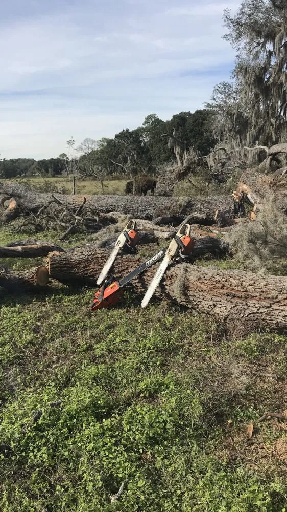 Reliable yard cleanup service for residential properties across Wildwood, FL - Reese's Landscaping and Tree Service