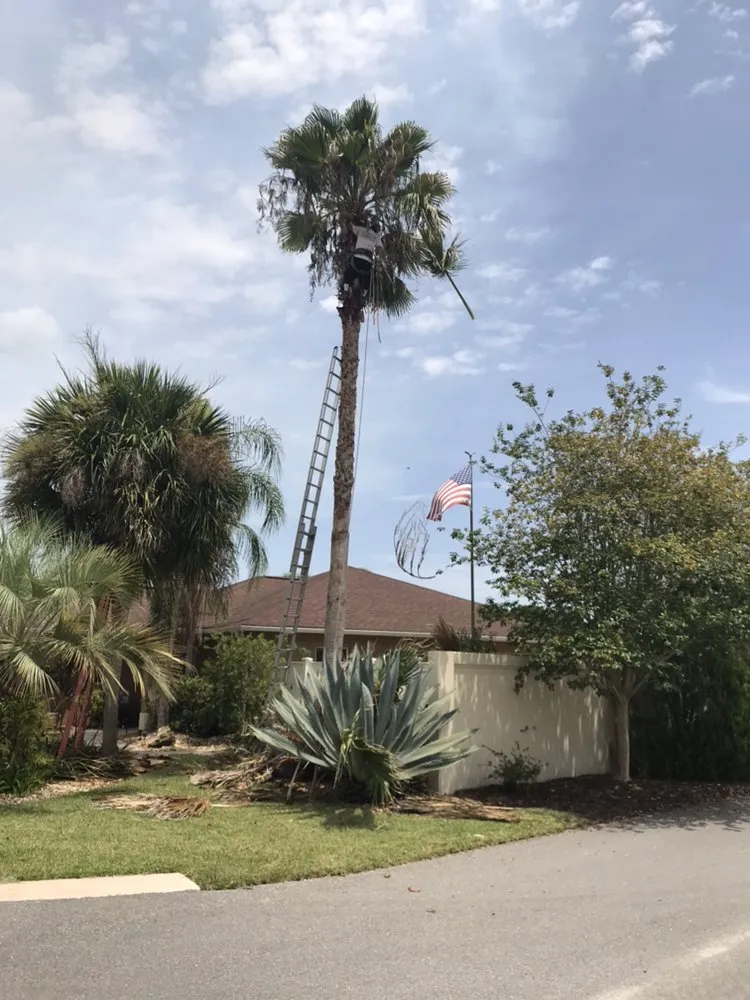 Professional landscaping services in Wildwood, FL - Reese's Landscaping and Tree Service