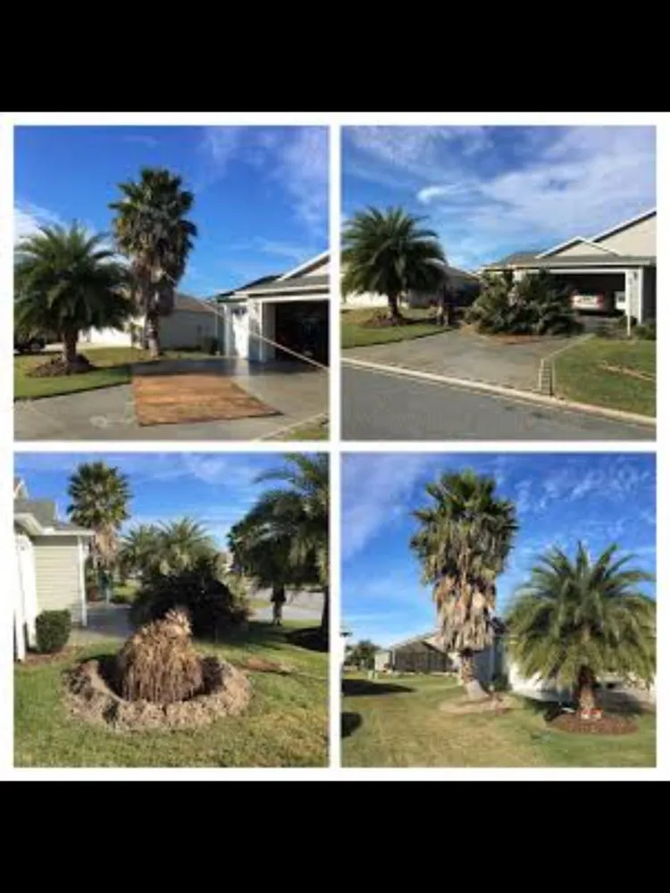 Professional yard cleanup service for year-round maintenance across Wildwood, FL - Reese's Landscaping and Tree Service
