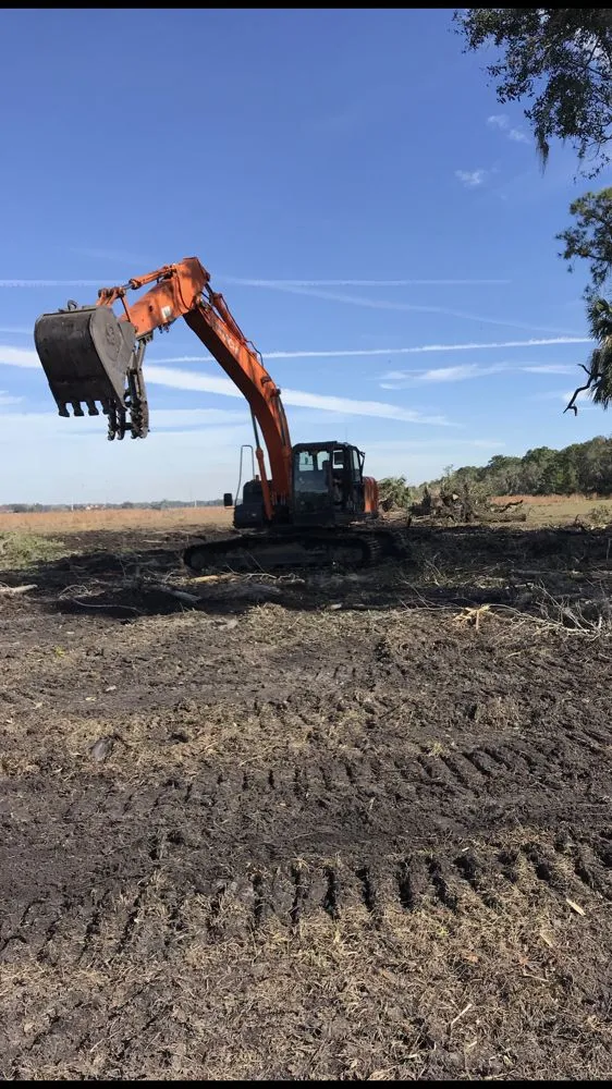 Professional landscape installation in Wildwood, FL by Reese's Landscaping and Tree Service