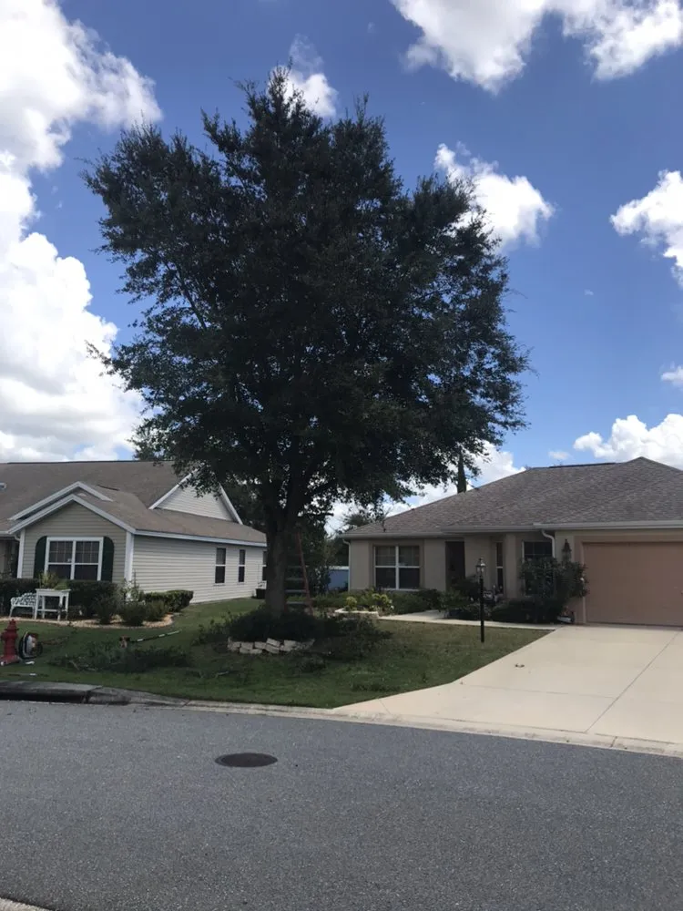 Top-rated lawn care service experts serving Wildwood, FL - Reese's Landscaping and Tree Service