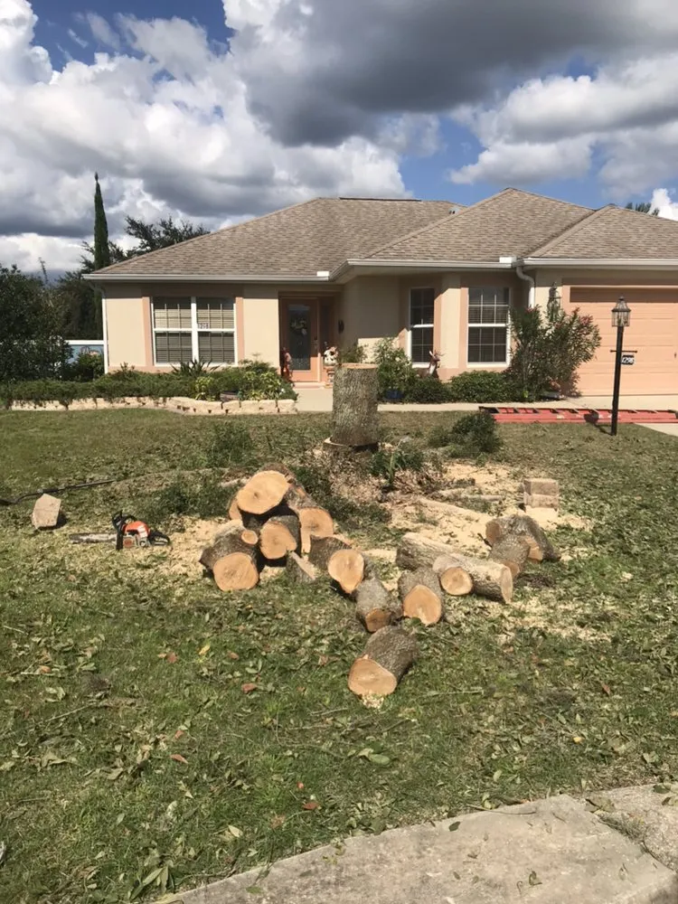 Trusted lawn mowing service in Wildwood, FL by Reese's Landscaping and Tree Service