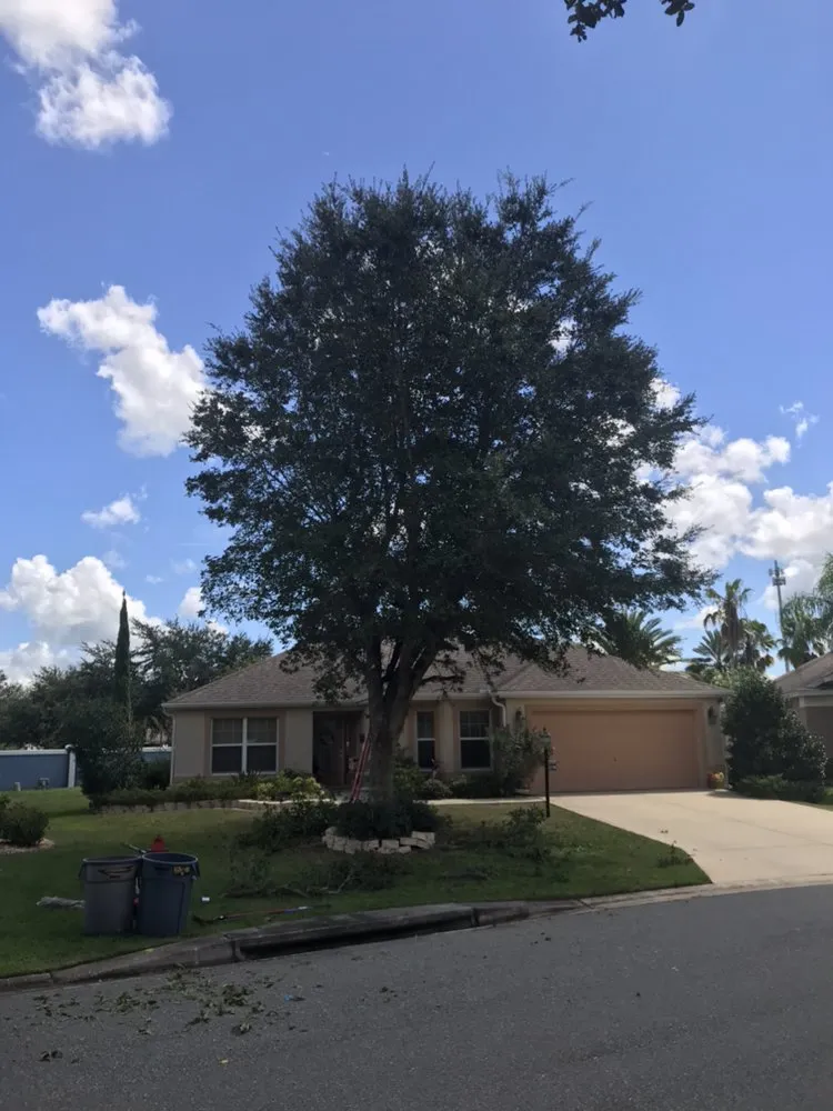 Local yard maintenance in Wildwood, FL - Reese's Landscaping and Tree Service