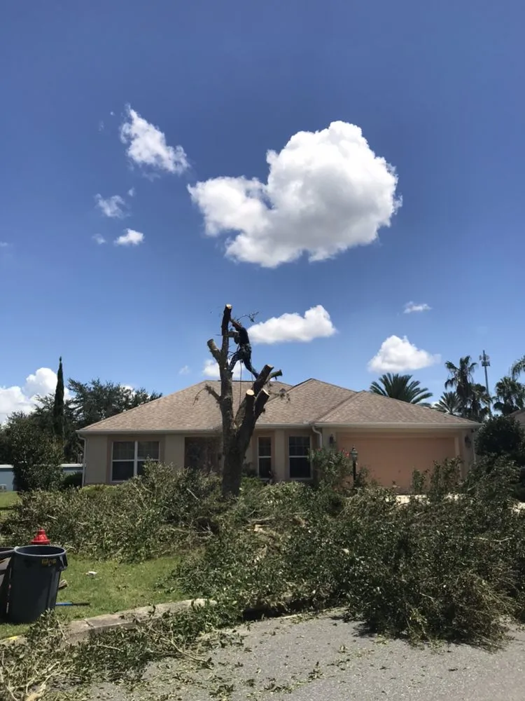 Custom outdoor landscaping experts serving Wildwood, FL - Reese's Landscaping and Tree Service