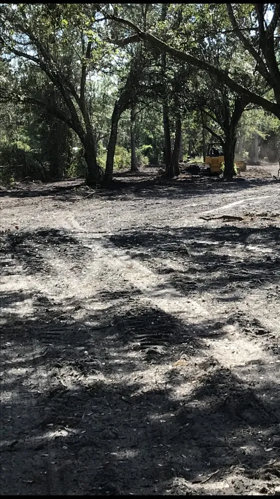 Affordable landscaping services for residential properties in Wildwood, FL by Reese's Landscaping and Tree Service