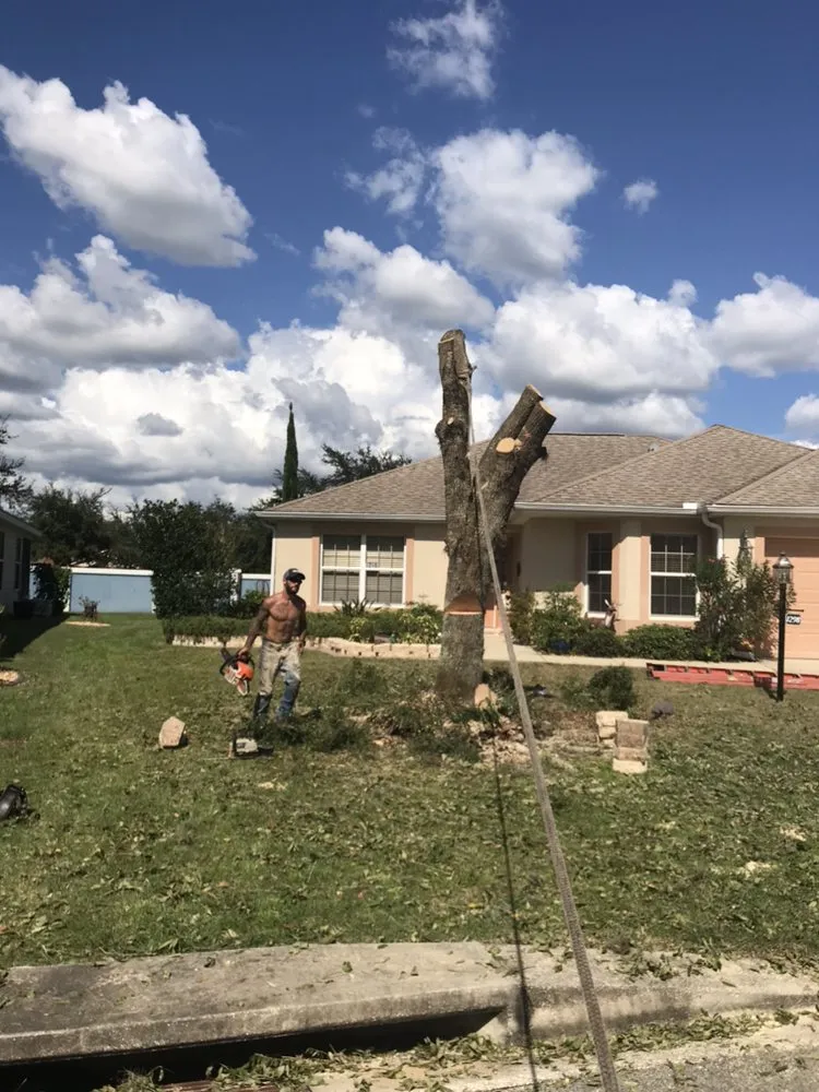 Local garden landscaping near you across Wildwood, FL - Reese's Landscaping and Tree Service