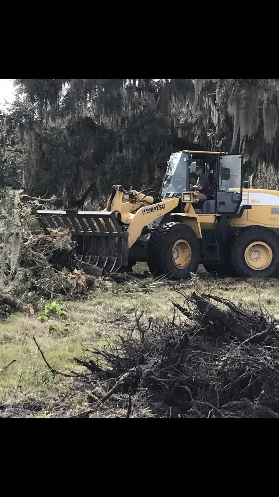 Affordable yard cleanup service in Wildwood, FL - Reese's Landscaping and Tree Service
