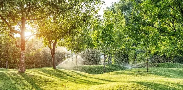 Local outdoor landscaping in Greenwood, MO by Reeves Backflow & Irrigation