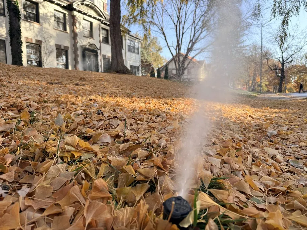 Expert yard maintenance in Greenwood, MO - Reeves Backflow & Irrigation