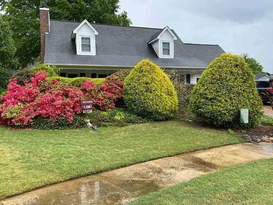 Professional yard maintenance for homes in Collierville, TN by Reeves Landscaping
