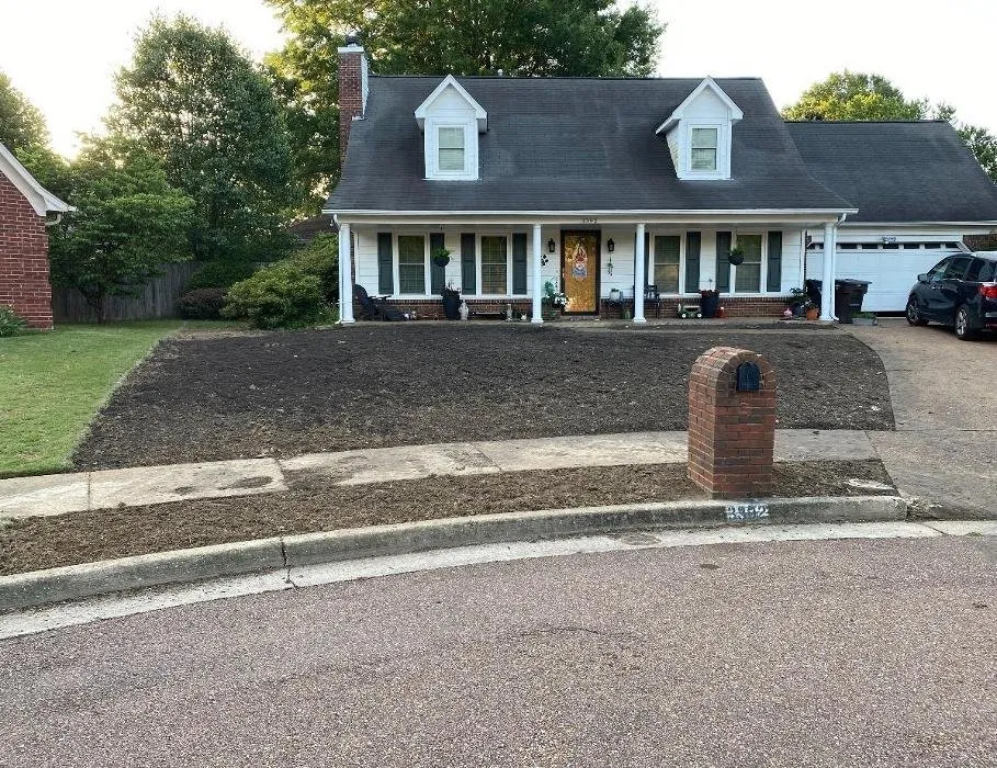 Affordable residential landscaping experts serving Collierville, TN - Reeves Landscaping