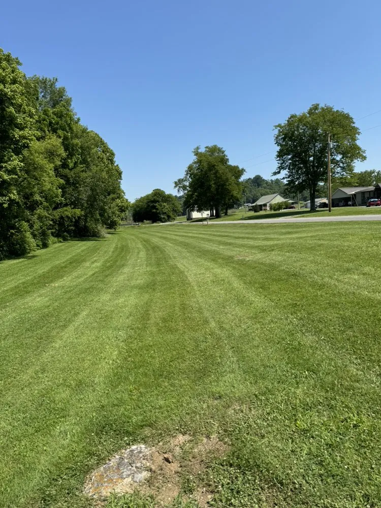 Professional yard cleanup service for year-round maintenance across Lynchburg, TN - Reeves Lawncare