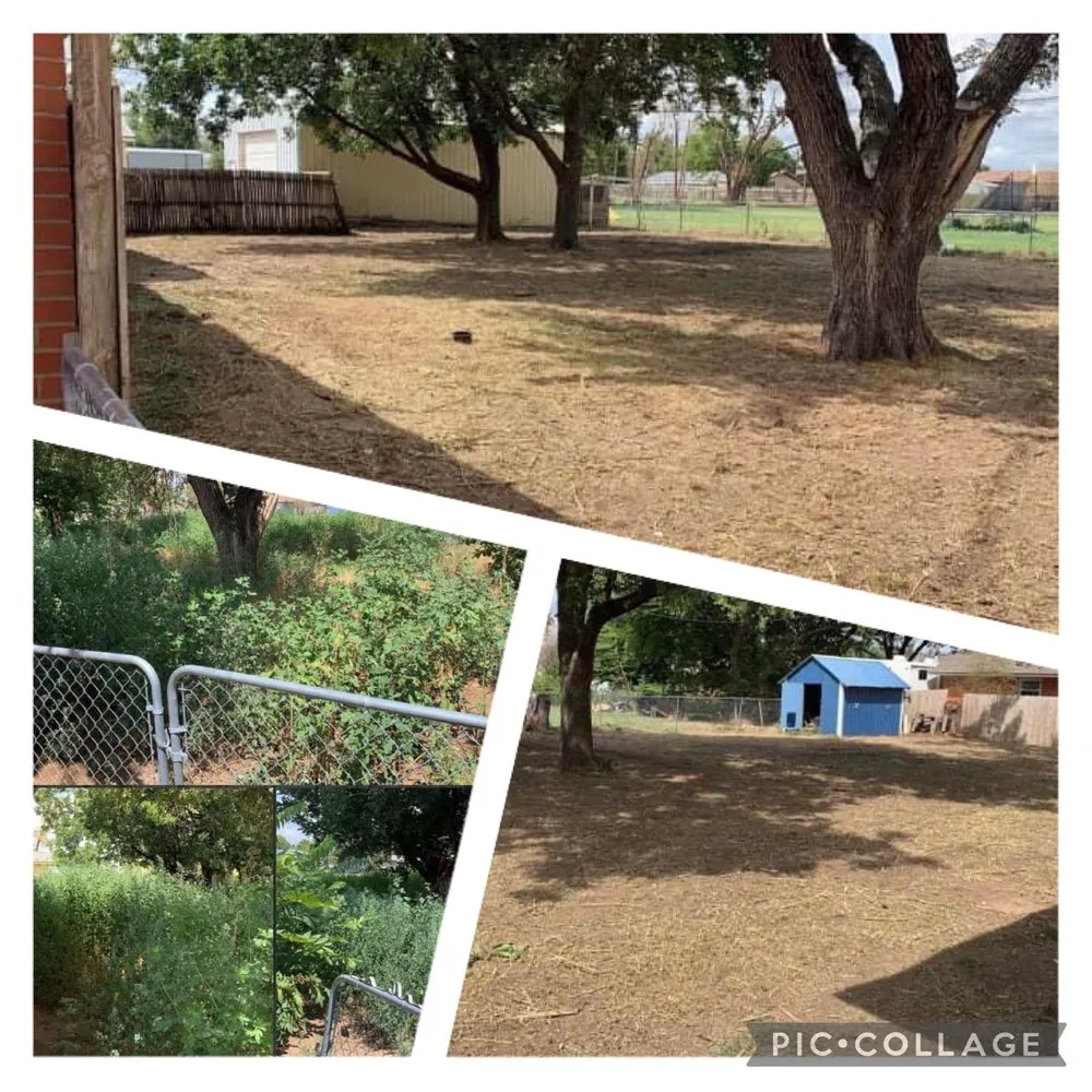 Local lawn mowing service in El Reno, OK - Reeves Tree & Lawn Management Services