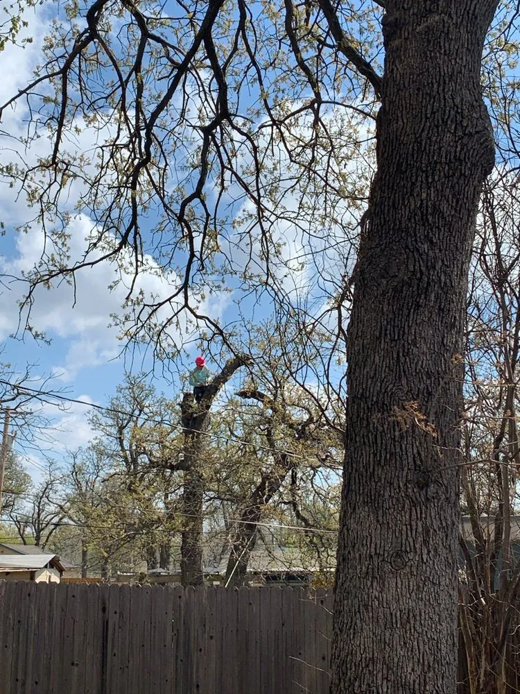 Top-rated lawn mowing service in El Reno, OK by Reeves Tree & Lawn Management Services