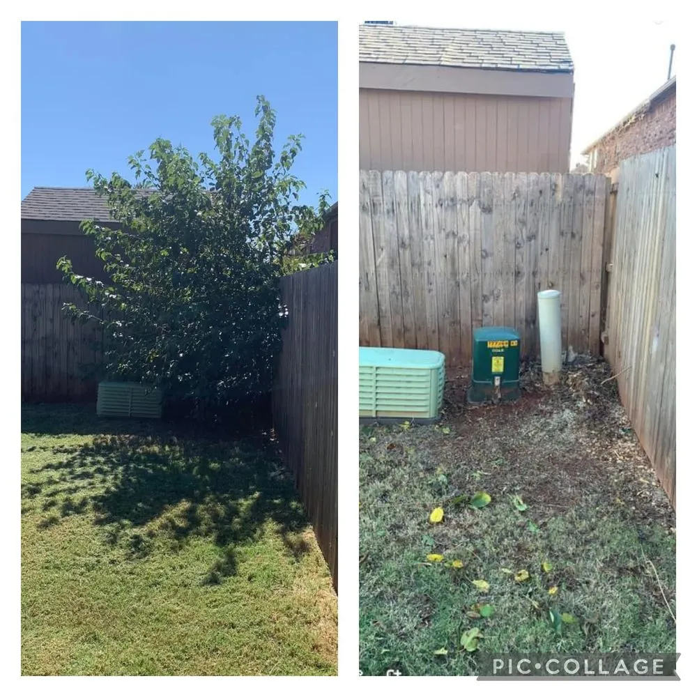 Trusted lawn mowing service in El Reno, OK by Reeves Tree & Lawn Management Services