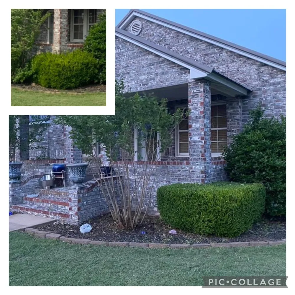 Top-rated lawn care service in El Reno, OK by Reeves Tree & Lawn Management Services