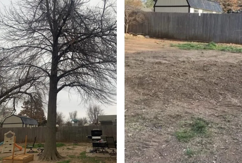 Affordable landscaping services in El Reno, OK by Reeves Tree & Lawn Management Services