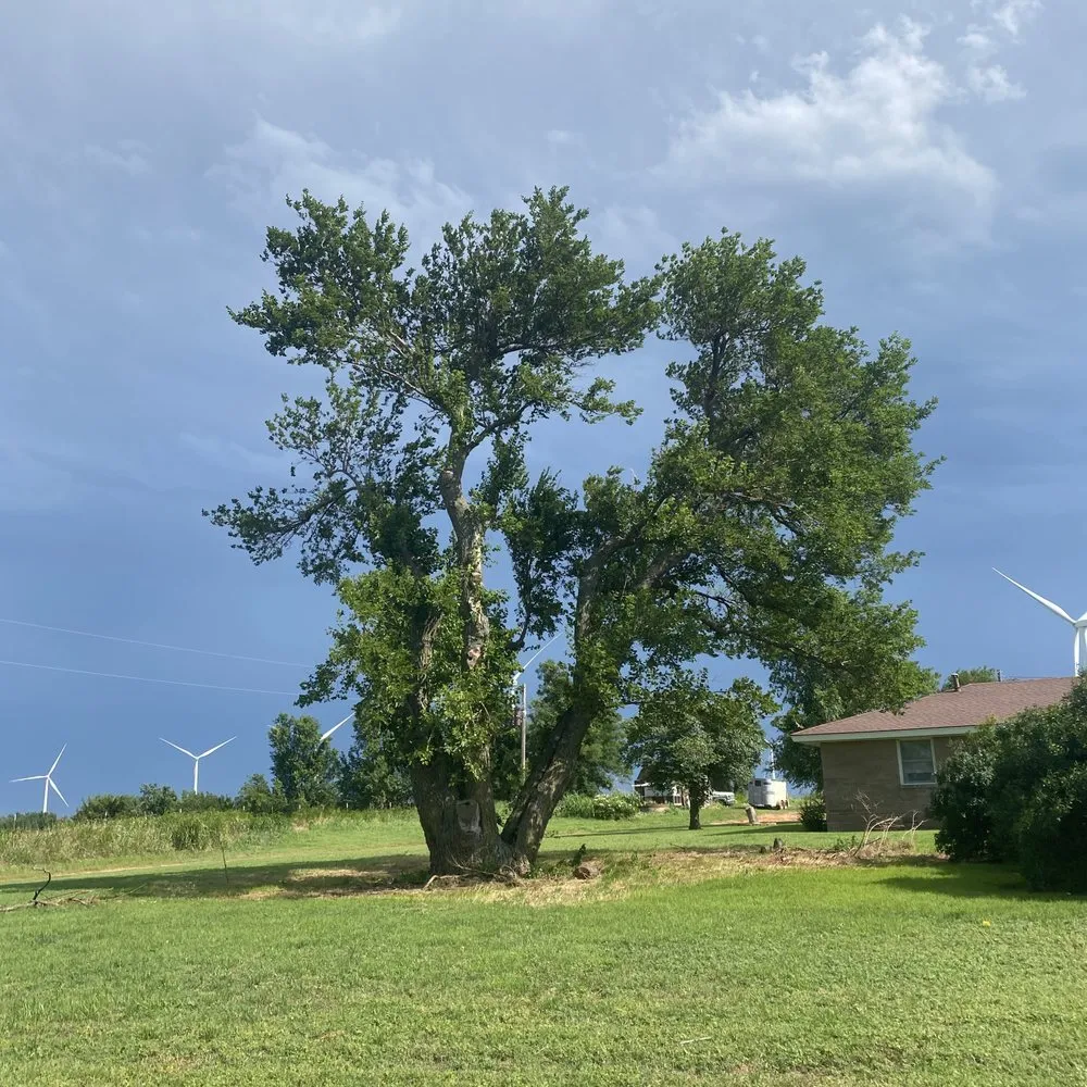 Expert outdoor landscaping in El Reno, OK by Reeves Tree & Lawn Management Services