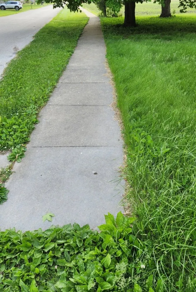 Top-rated lawn care service in Fairmount, IL by Reffett Landscaping