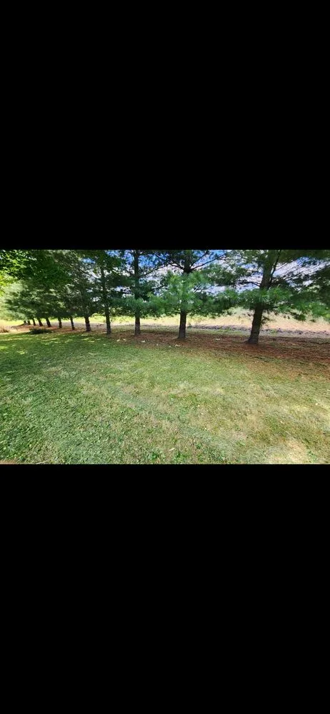 Expert yard cleanup service with custom design across Fairmount, IL - Reffett Landscaping