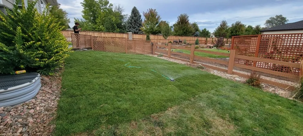 Affordable lawn mowing service in Arvada, CO - Refine Custom Landscaping