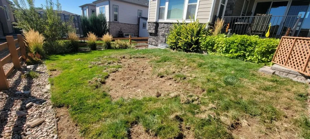 Local residential landscaping in Arvada, CO by Refine Custom Landscaping