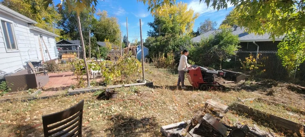 Custom yard cleanup service in Arvada, CO - Refine Custom Landscaping