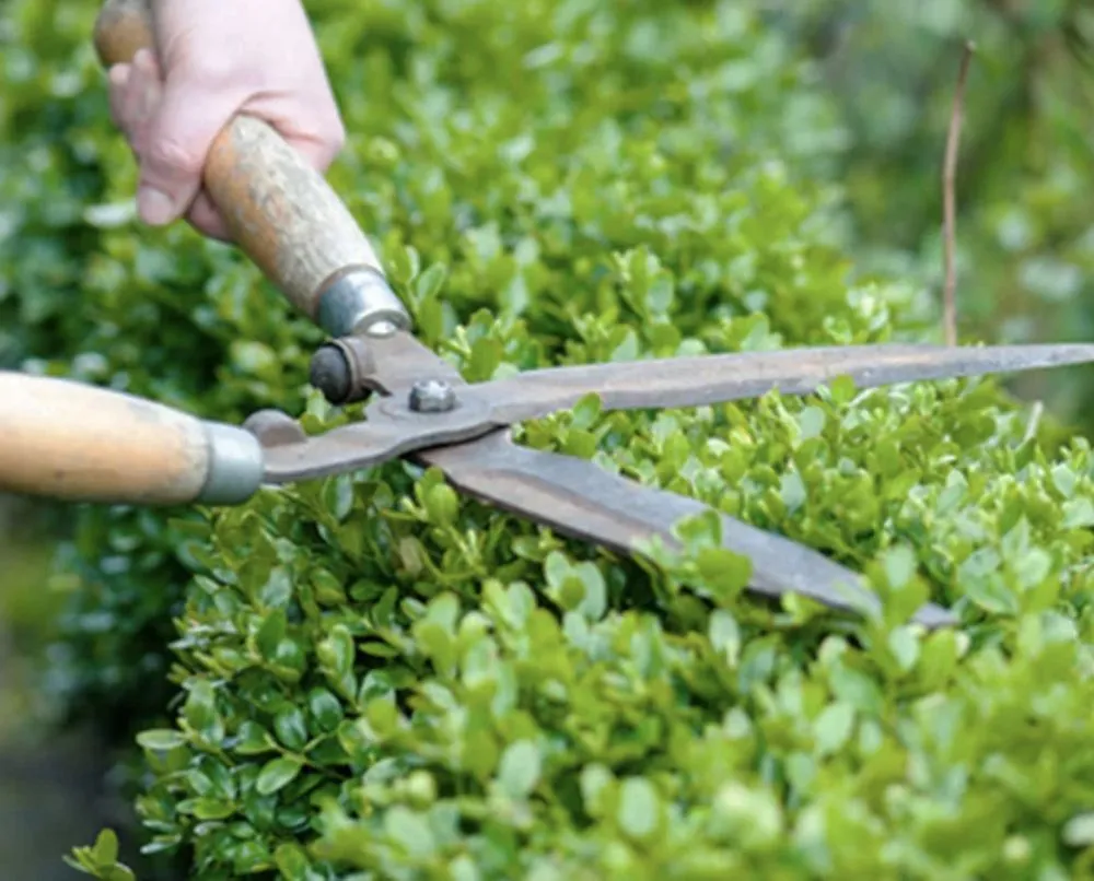 Reliable landscaping services experts serving Northvale, NJ - Refined Landscape & Design
