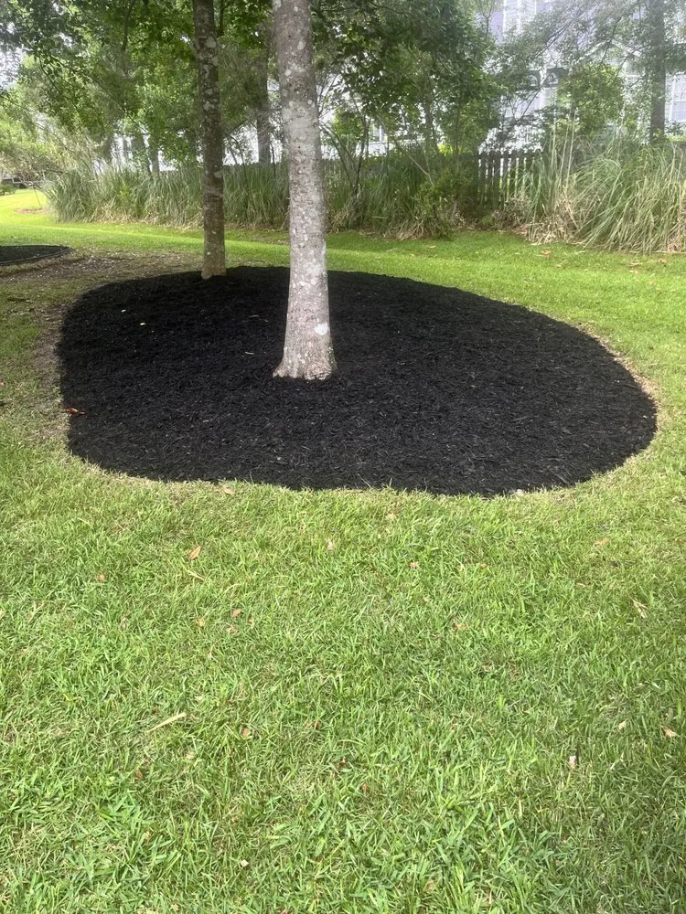 Top-rated landscape installation for year-round maintenance across Summerville, SC - Refined Roots Lawn Care