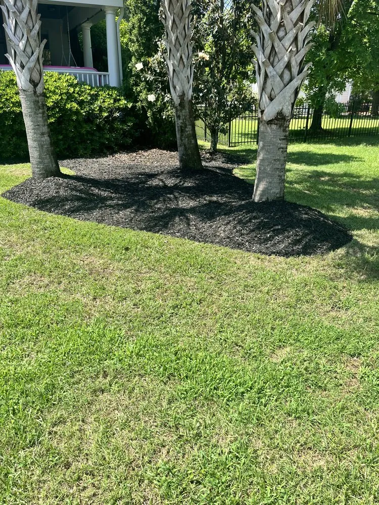 Custom lawn mowing service in Summerville, SC by Refined Roots Lawn Care