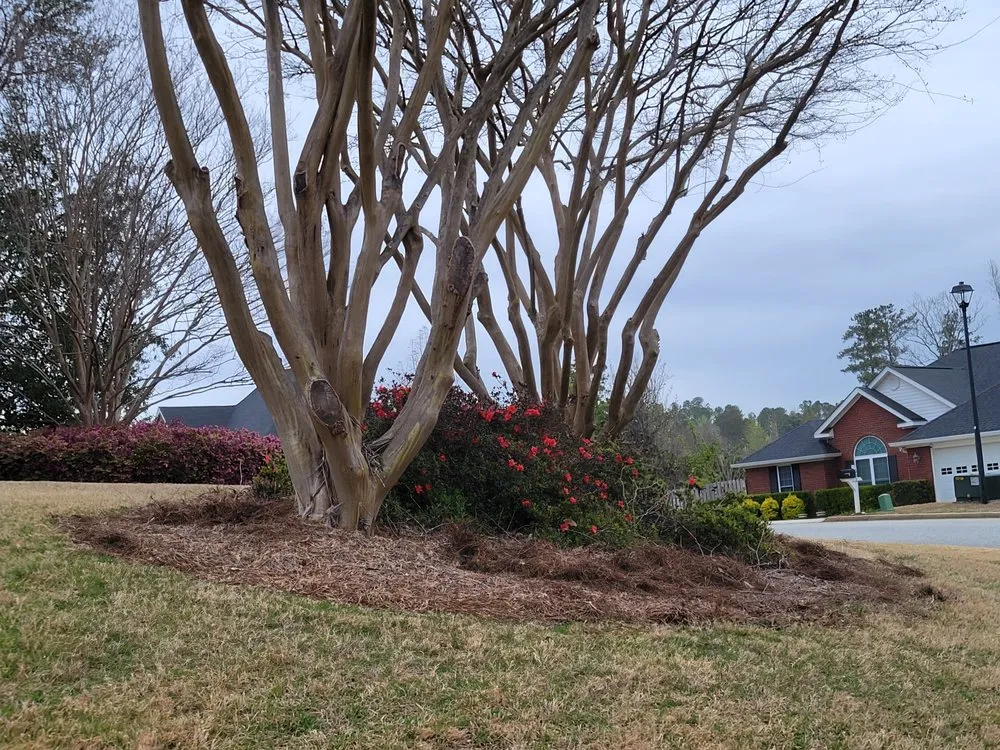 Professional yard maintenance in Grovetown, GA by Refining Spray Solutions