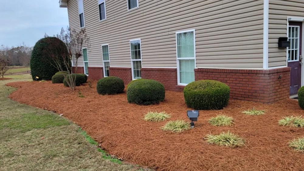 Top-rated landscape installation in Grovetown, GA - Refining Spray Solutions