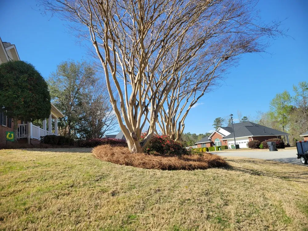 Trusted landscaping services near you across Grovetown, GA - Refining Spray Solutions