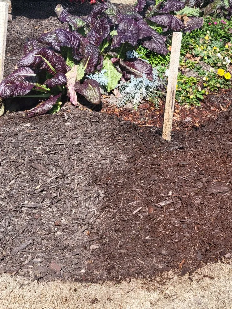 Affordable lawn care service in Grovetown, GA - Refining Spray Solutions