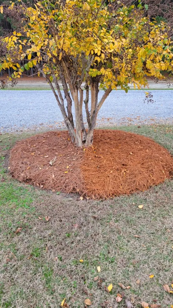 Affordable residential landscaping for homes across Grovetown, GA - Refining Spray Solutions