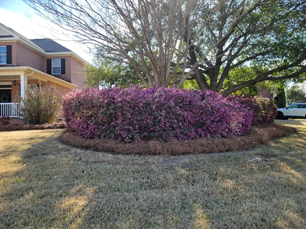 Professional residential landscaping for outdoor upgrades in Grovetown, GA by Refining Spray Solutions