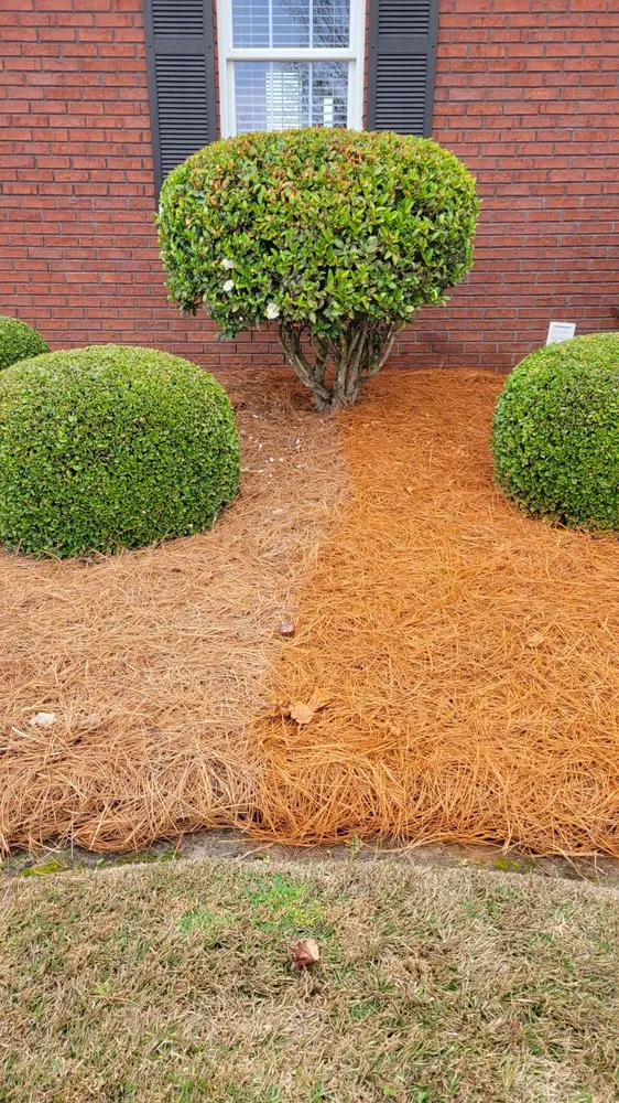 Trusted residential landscaping in Grovetown, GA by Refining Spray Solutions