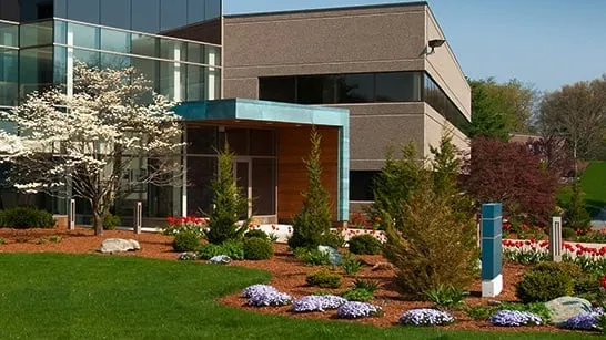 Top-rated lawn mowing service experts serving Brunswick, OH - Reflections Landscaping