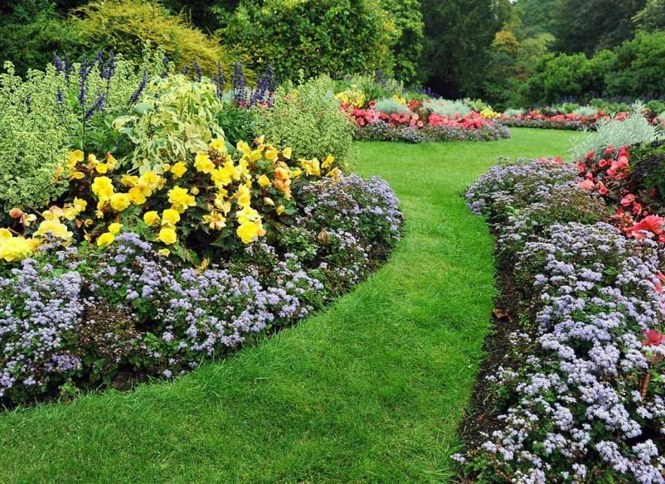 Expert yard cleanup service in Cumming, GA by Reflections Pool & Design