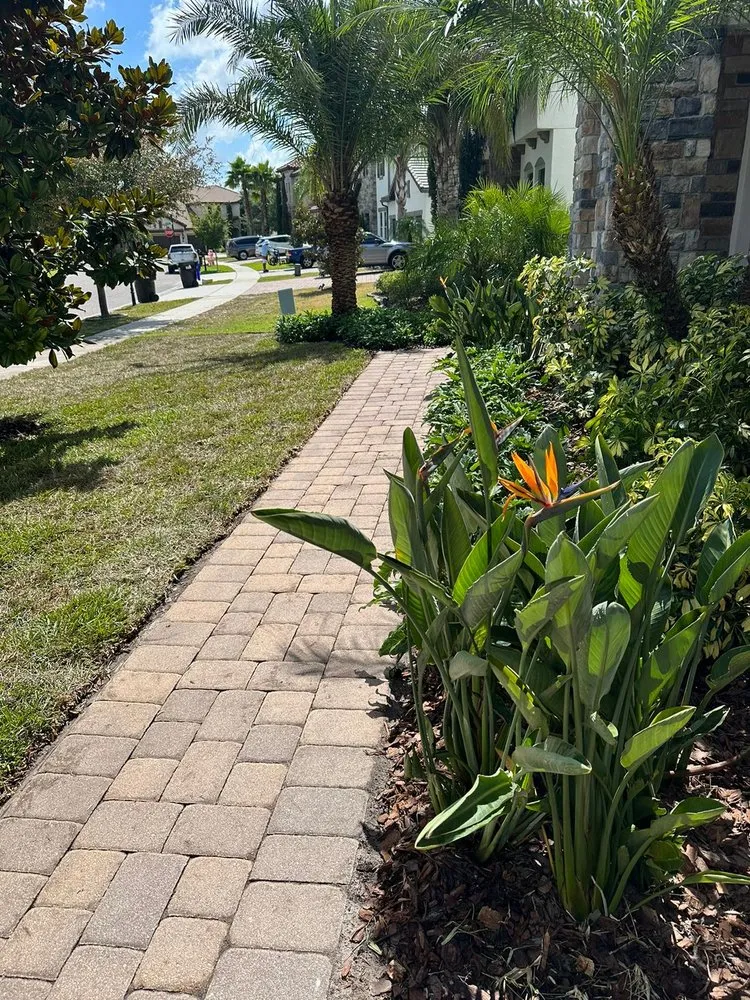 Local yard cleanup service experts serving Orlando, FL - Reflora Lawn & Landscaping
