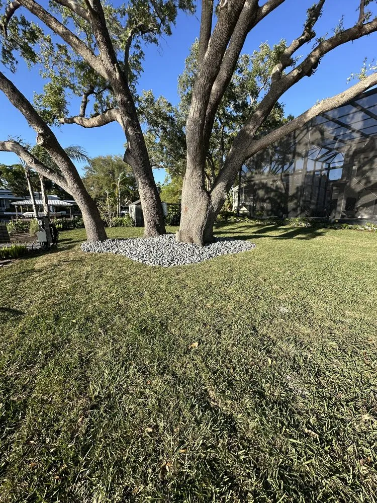 Affordable residential landscaping for outdoor upgrades across Orlando, FL - Reflora Lawn & Landscaping