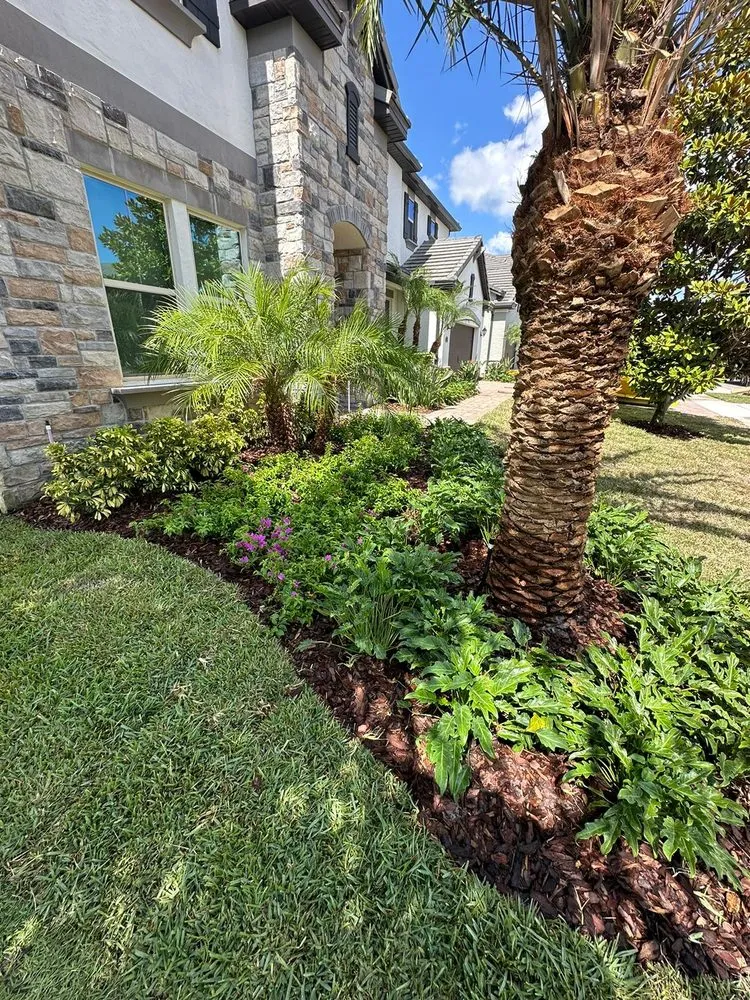 Top-rated landscaping services for year-round maintenance across Orlando, FL - Reflora Lawn & Landscaping