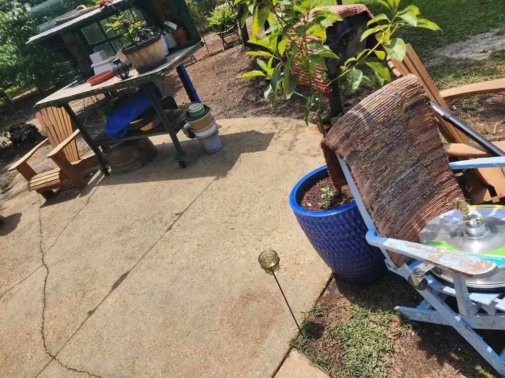 Trusted yard cleanup service in Gulfport, MS - Refresh & Revive Pressure Washing