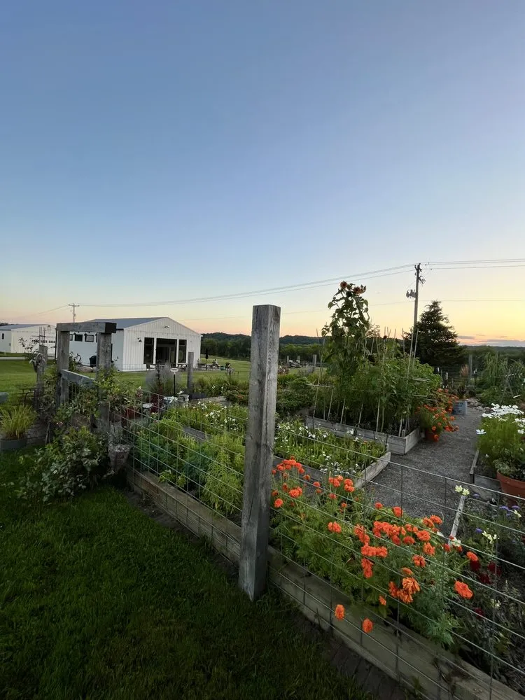 Custom yard maintenance experts serving Grand Rapids, MI - Refresh Landscape Solutions