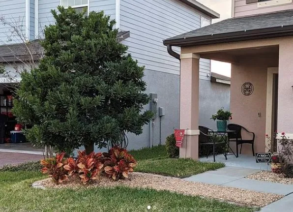 Local yard maintenance in Wimauma, FL by Refresh Lawn Care