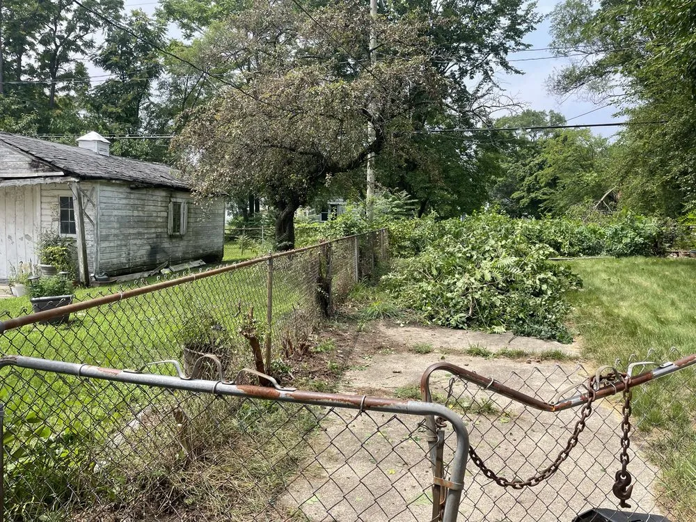 Affordable yard cleanup service in Detroit, MI by Refresh My Yard